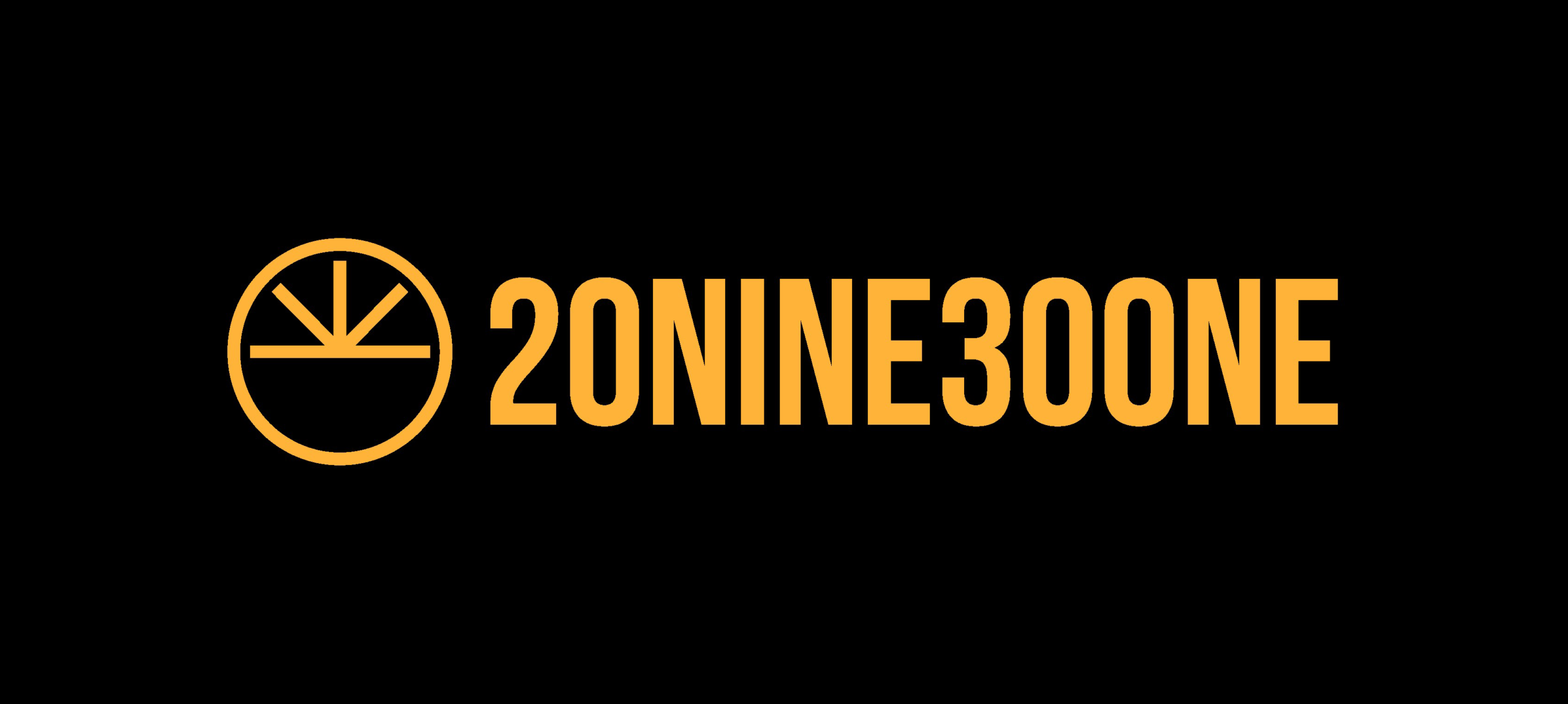 20nine30one - Logo